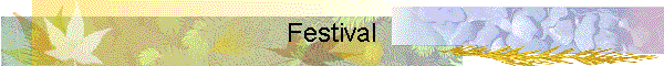 Festival